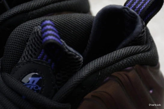 Eggplant  Air Foamposite 314996-008 One (2017) 0109